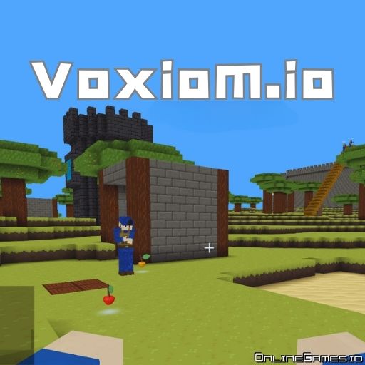 Voxiom